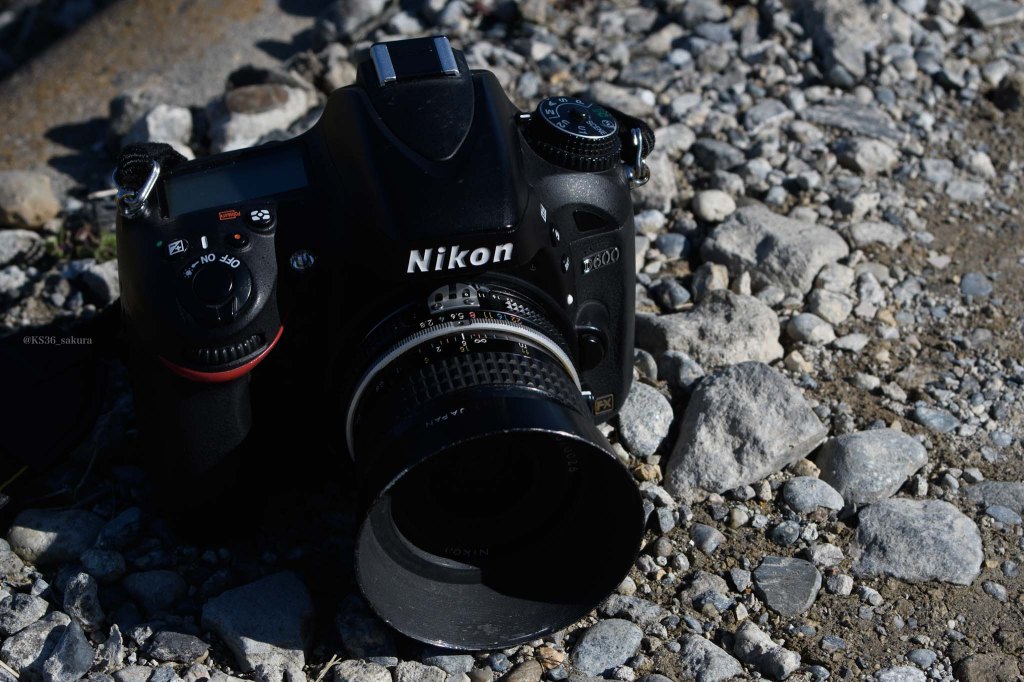 明日を見ていたㅤㅤㅤㅤNikon D600