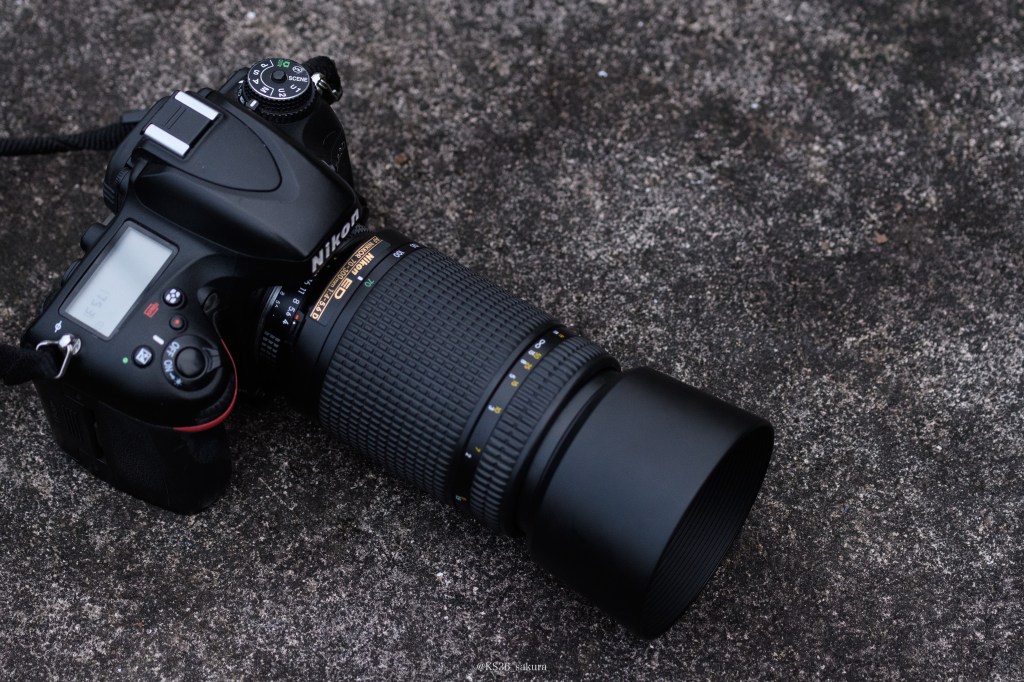 レンズの社説　5本目