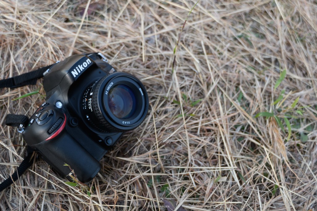 レンズの社説　7本目