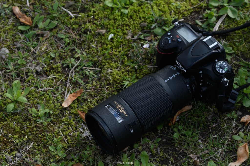 レンズの社説　9本目