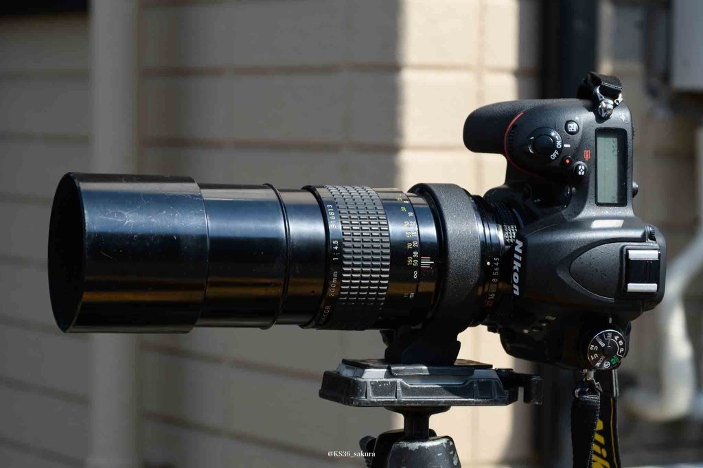 レンズの社説 12本目