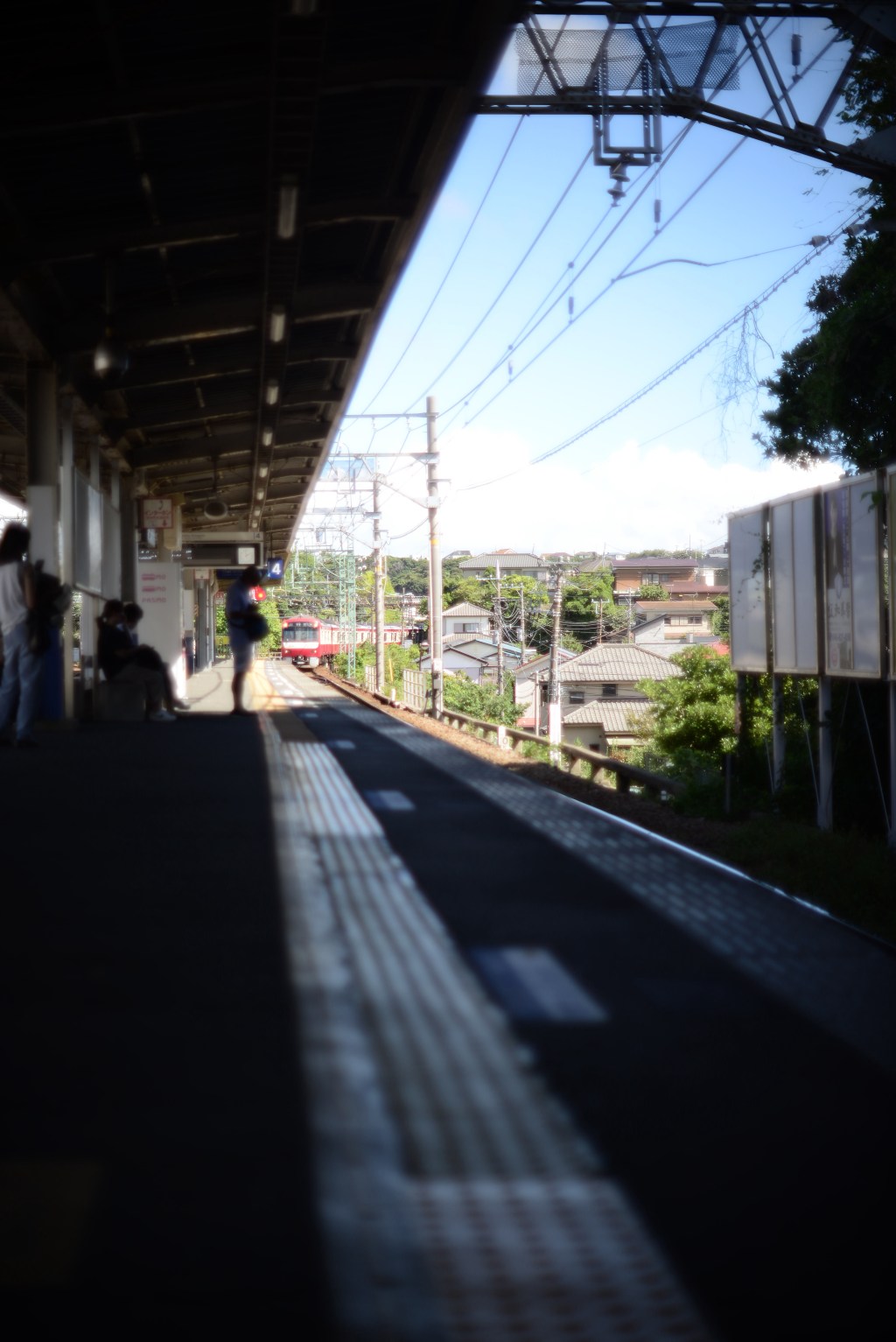 夏空を食んでいた