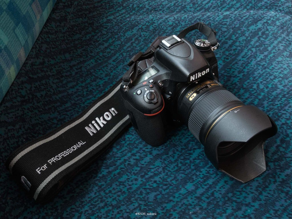 レンズの社説 14本目