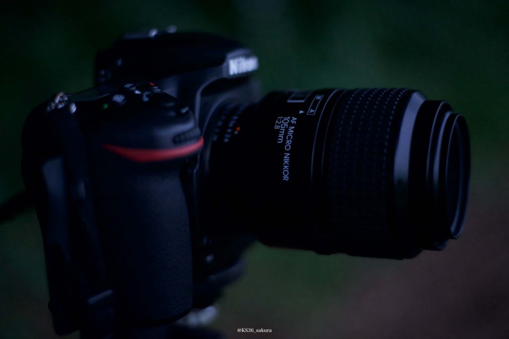 レンズの社説　2本目