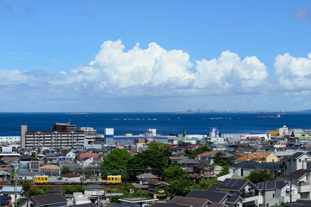 デトデトしてきた