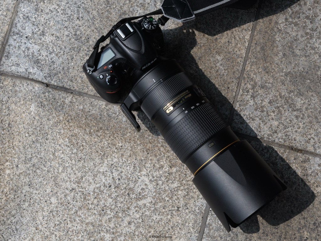 レンズの社説　15本目