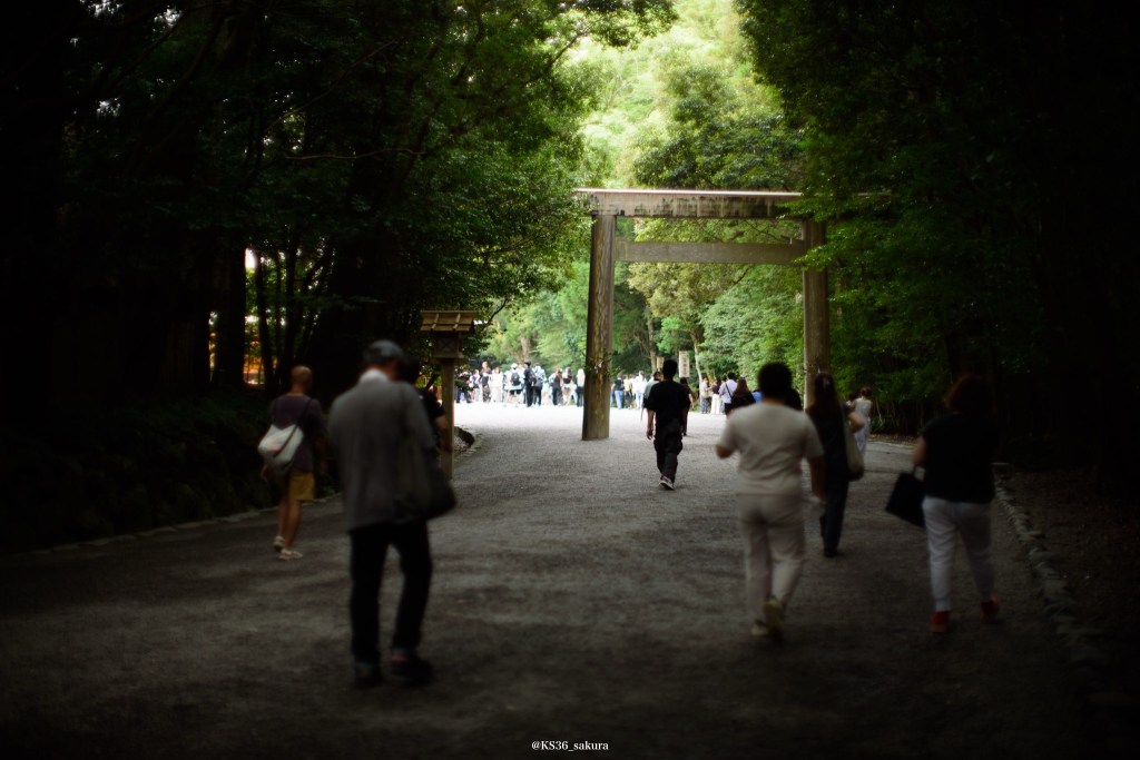 出かけてました。