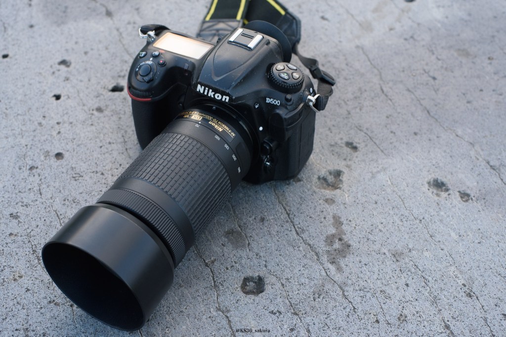 レンズの社説　17本目