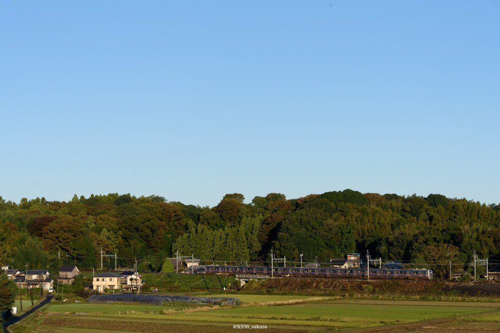 なんだか寒くなってきた