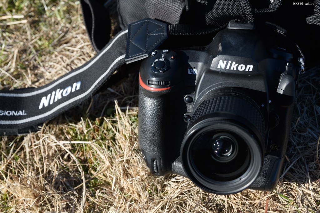 Nikon D5 投入