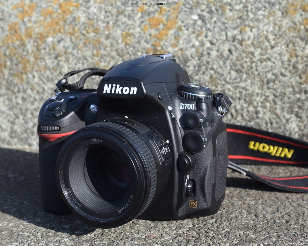 Nikon D700 投入