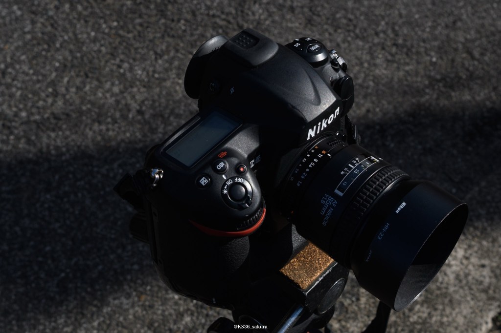 レンズの社説　20本目