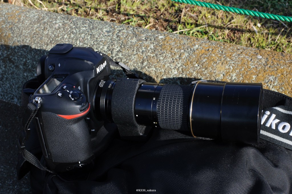 レンズの社説　21本目